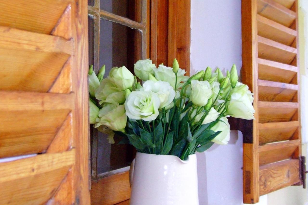 De Denne Country Guest House Oudtshoorn Zewnętrze zdjęcie